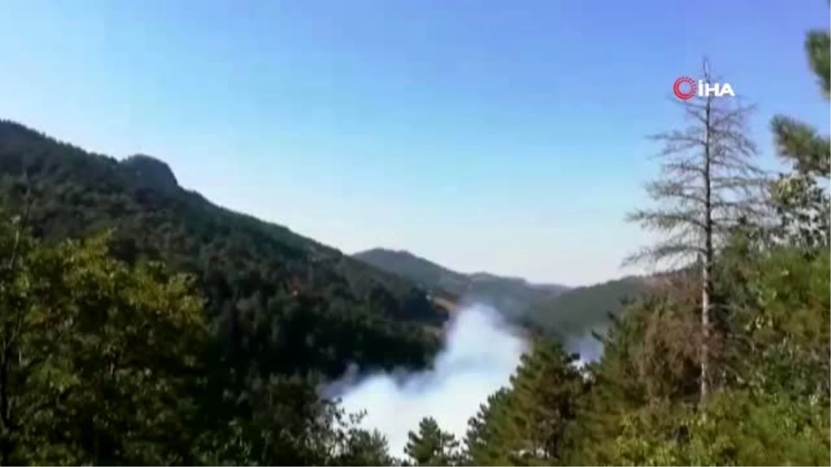 Sındırgı\'daki orman yangınında 2 hektarlık alan zarar gördü