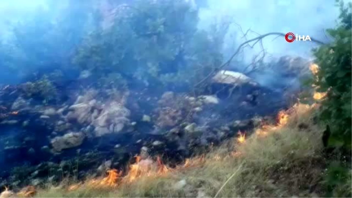 Şırnak\'ta ağaçlık alanda yangın: Yüzlerce dönüm alan kül oldu