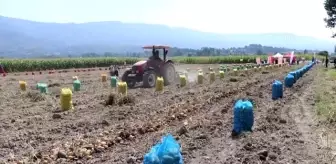 Tarla günü etkinliği düzenlendi