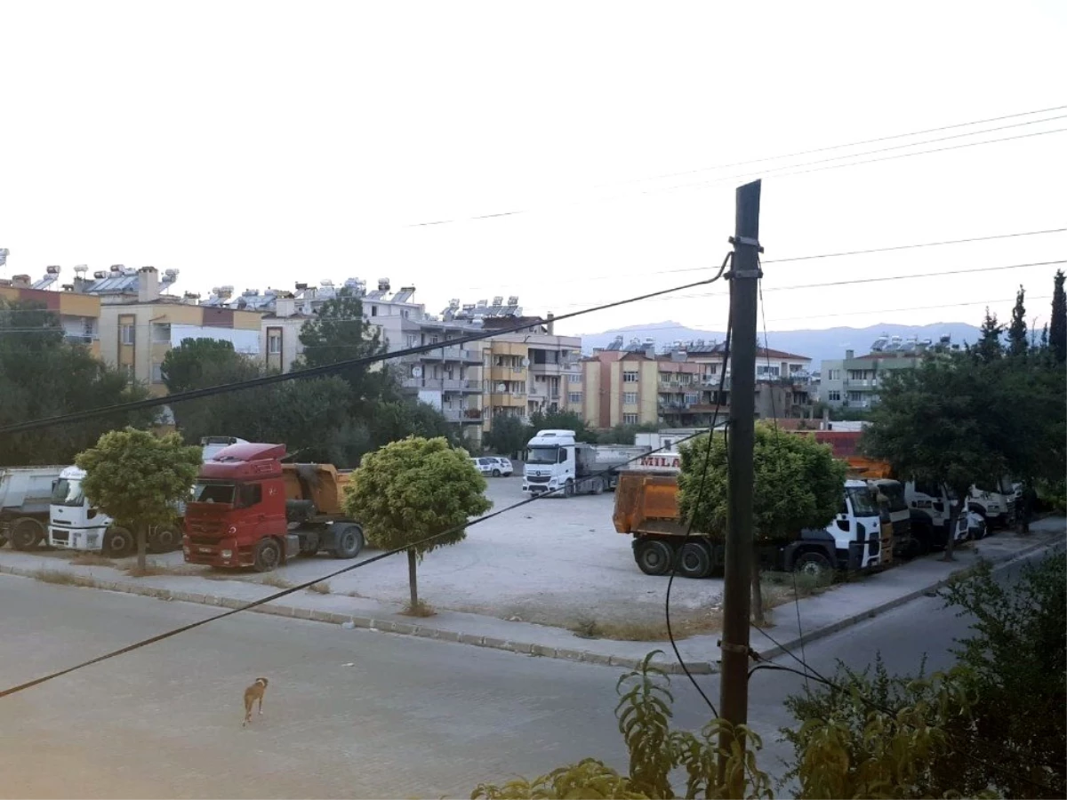 Ahmet Gazi Caddesi sakinleri, Milas Belediyesi\'nin yeşil alanı korumasını istedi