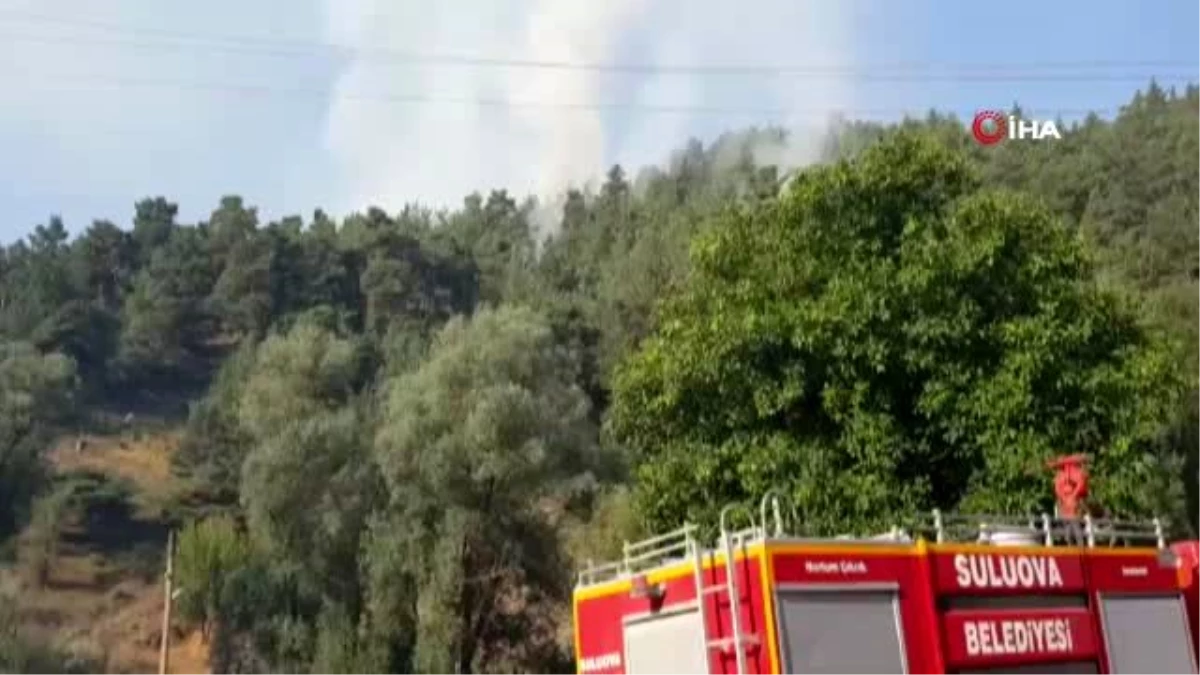 Amasya\'daki orman yangını: 2 gözaltı