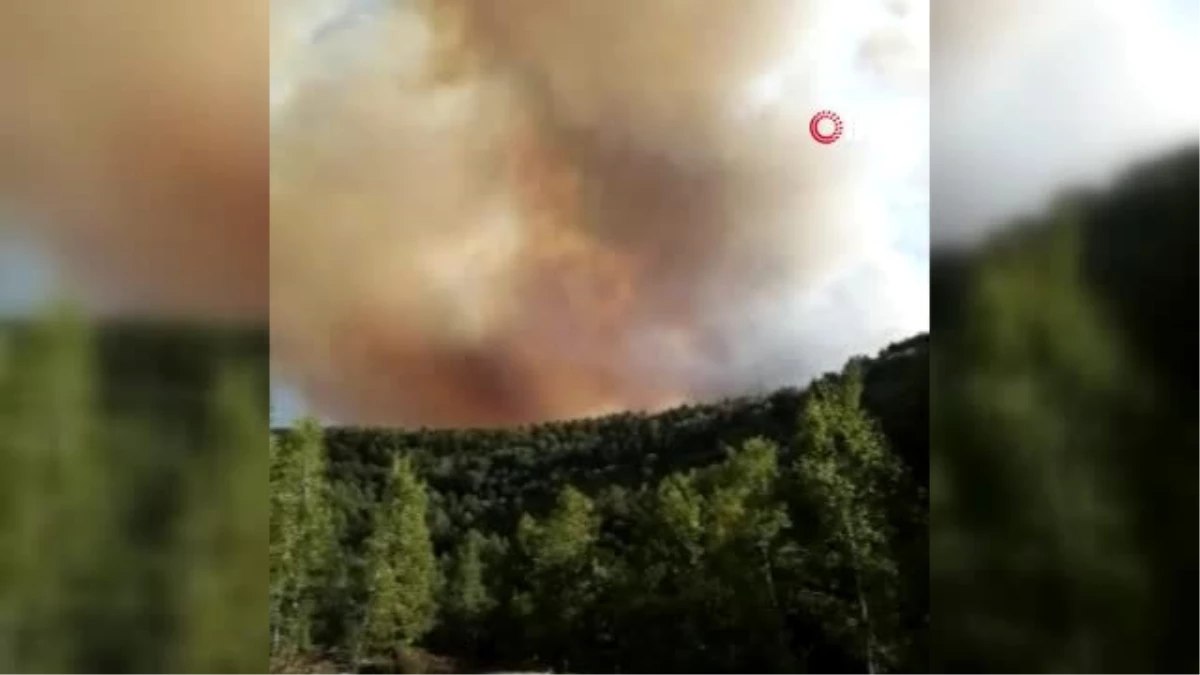 Son dakika haberi... Ankara\'da orman yangını