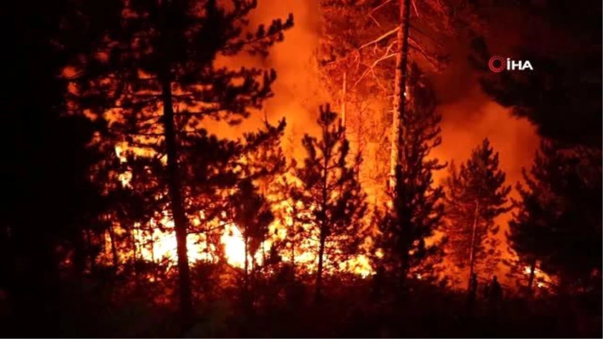 Bolu\'da, orman yangını 5 saatte kontrol altına alındı