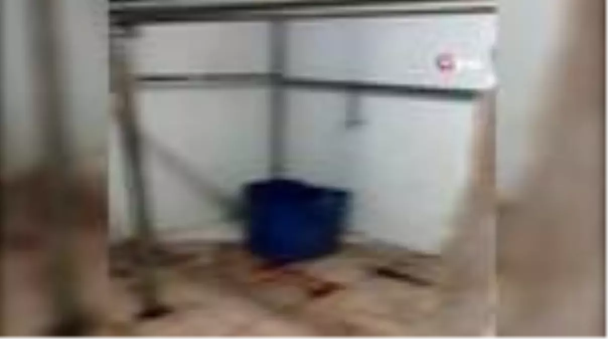 Son dakika haberleri: Buca\'da kaçak et operasyonu kamerada