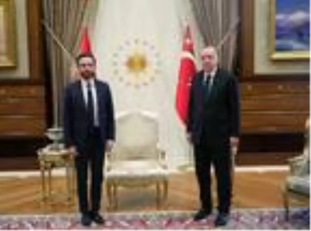 Cumhurbaşkanı Erdoğan, AİHM Başkanı Spano\'yu kabul etti