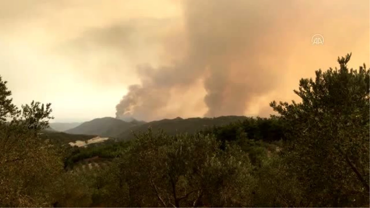 Hatay\'ın Suriye sınırındaki orman yangını sürüyor