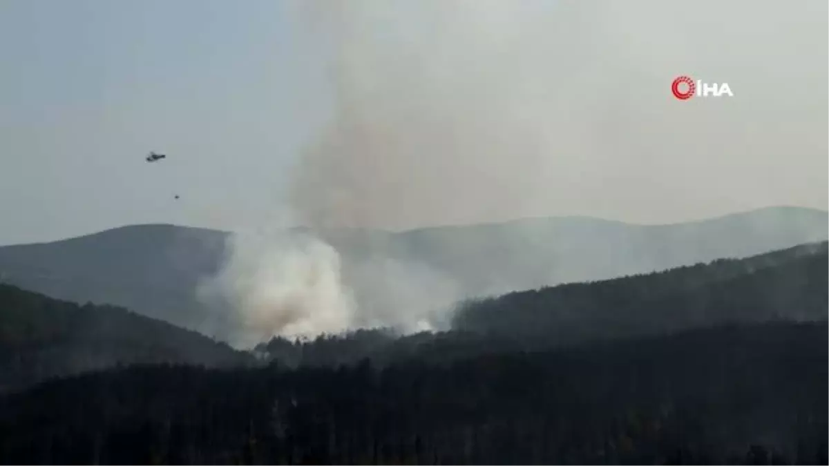 Son dakika! Kastamonu\'da dün başlayan orman yangını söndürüldü