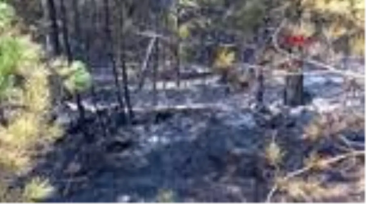 Son dakika haberi: Kastamonu\'daki orman yangını, 21 saatte kontrol altına alındı