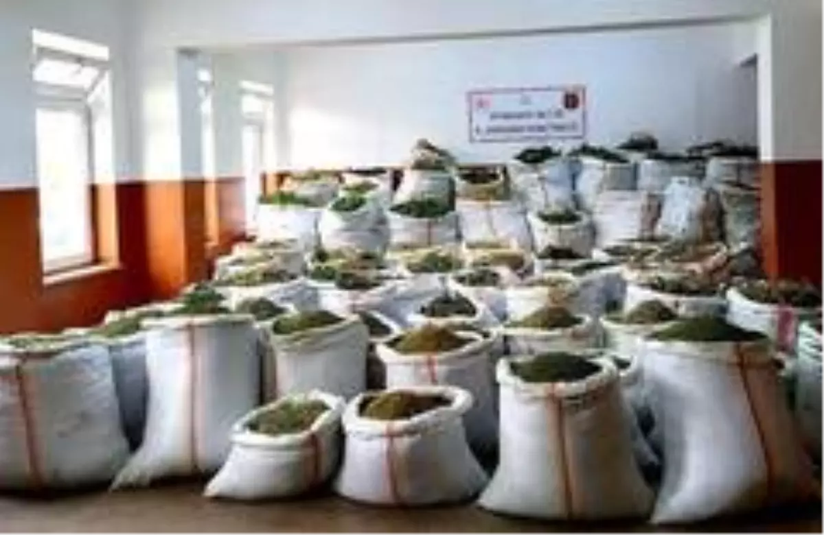 Son dakika! Lice kırsalında bin 418 kilo esrar ele geçirildi