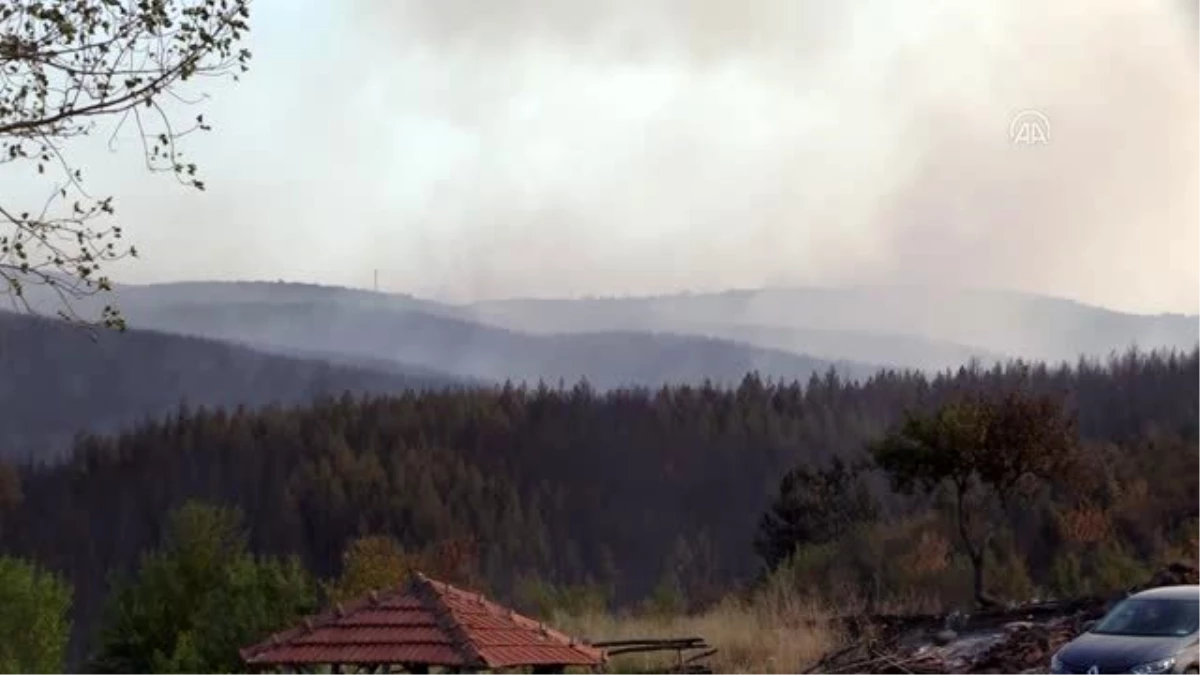 Son dakika haberleri: Orman yangınına müdahale ediliyor