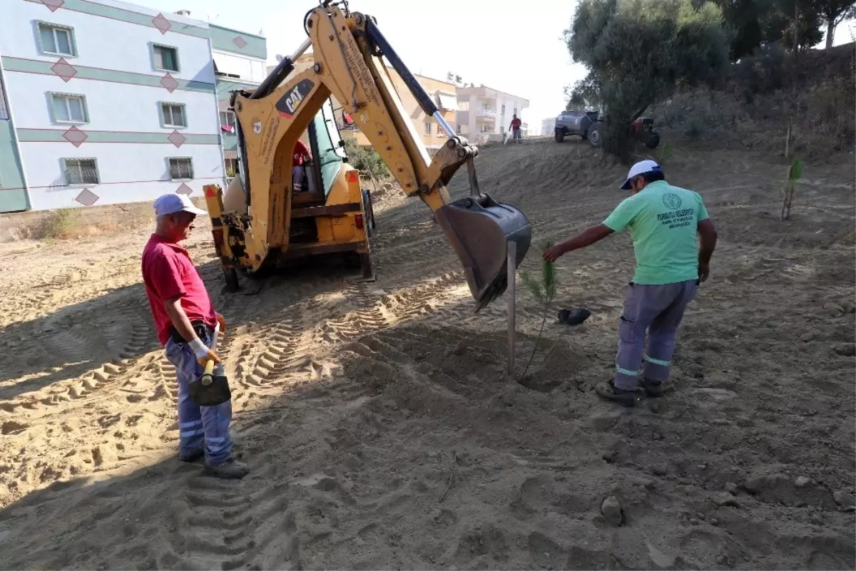 Turgutlu Belediyesi ekiplerinden yol ve ağaçlandırma çalışması