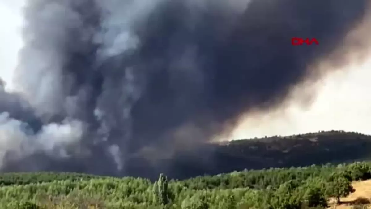 Son dakika haber... UŞAK Uşak\'ta orman yangını