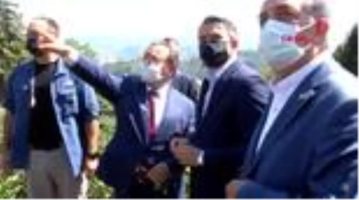 Son dakika haber... Bakan Pakdemirli: Çayımızın kalitesi arttı