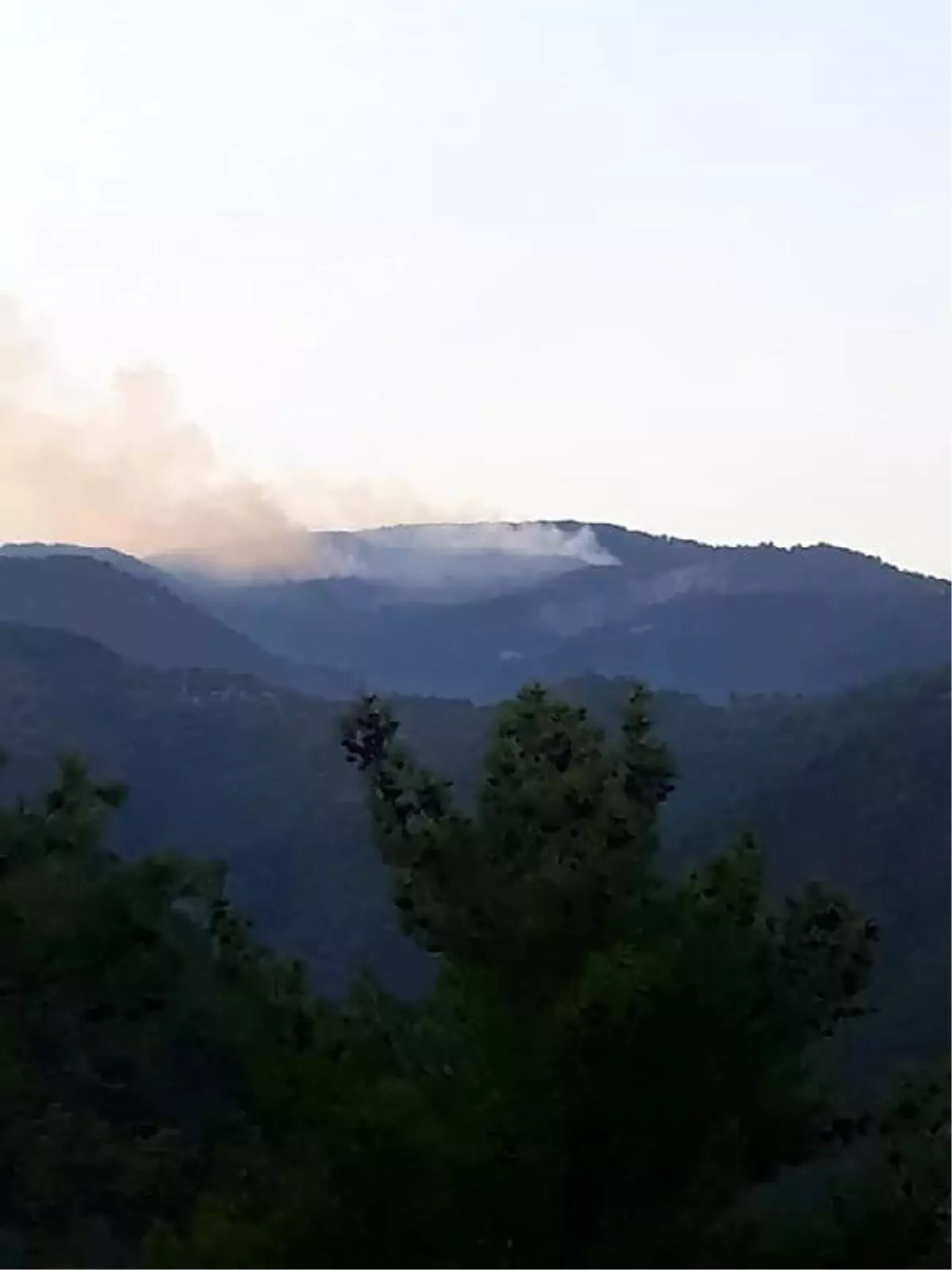 Çorum ile Sinop arasındaki orman yangınına havadan ve karadan müdahale