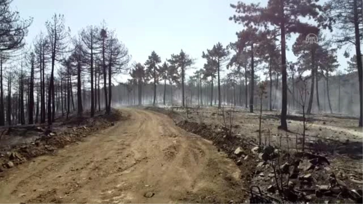 Denizli\'deki orman yangınında soğutma çalışmaları sürüyor