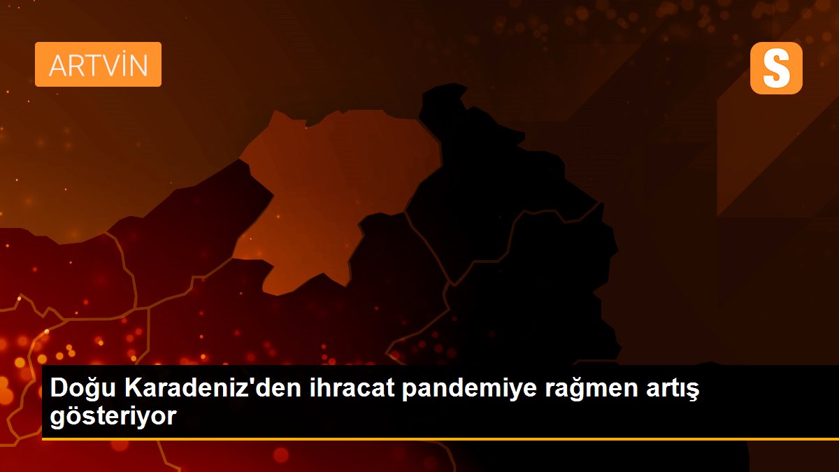 Doğu Karadeniz\'den ihracat pandemiye rağmen artış gösteriyor