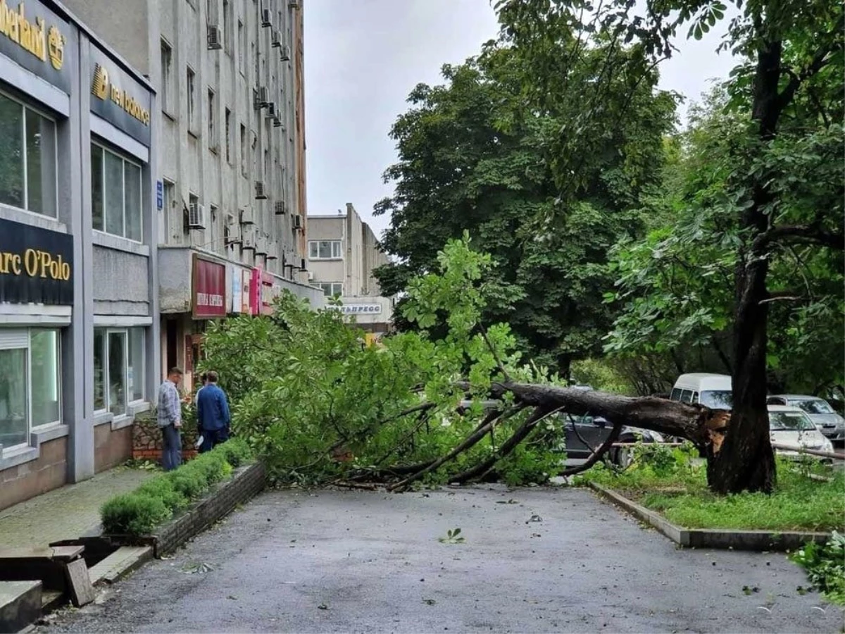 Maysak tayfunu Rusya\'yı vurdu