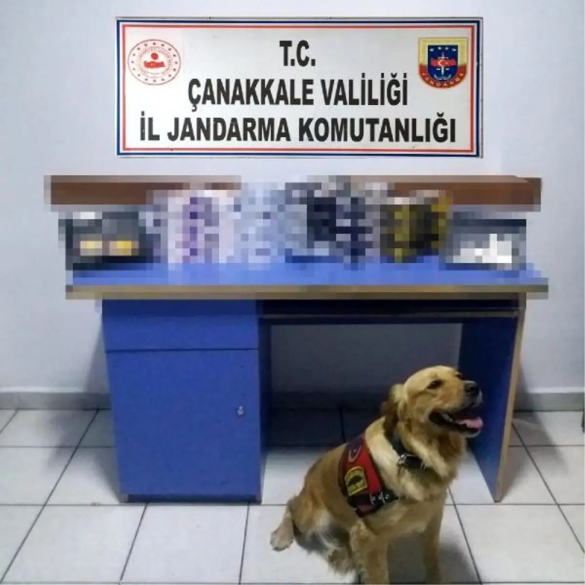 Narkotik köpeği \'Roket\' ile yapılan kaçak tütün operasyonunda, 1 gözaltı