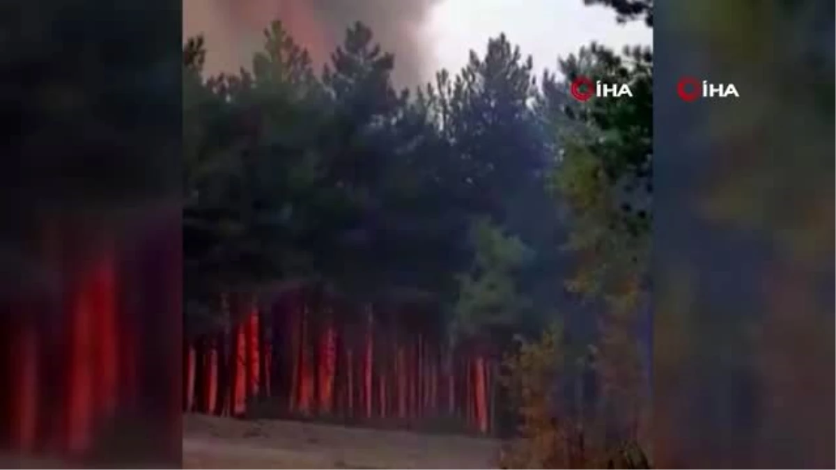 Son dakika haberi! Orman yangınını söndürme çalışmaları devam ediyor