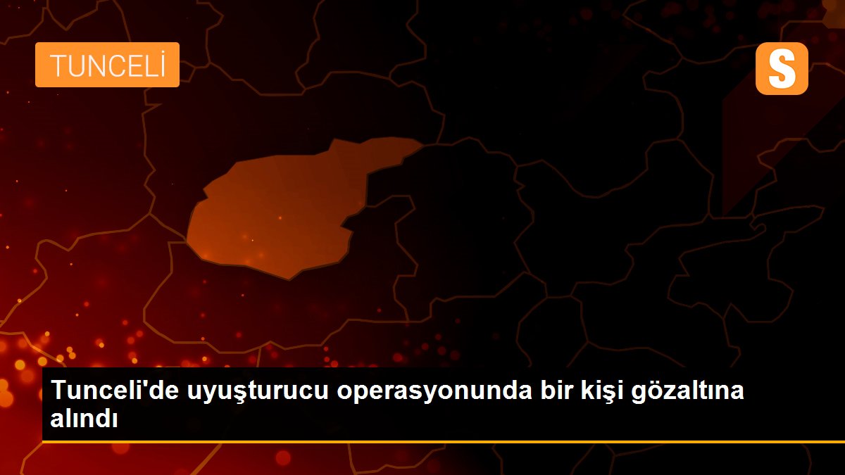 Tunceli\'de uyuşturucu operasyonunda bir kişi gözaltına alındı