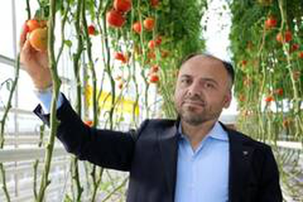 Türkşeker\'den sera üretiminde "sözleşmeli tarım" modeli