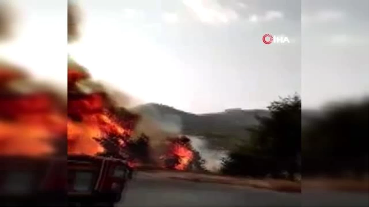 Ürdün\'de orman yangını
