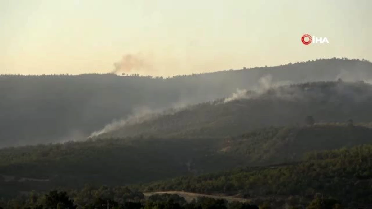 Son dakika haber: Uşak\'taki orman yangınında 100 hektar alan zarar gördü