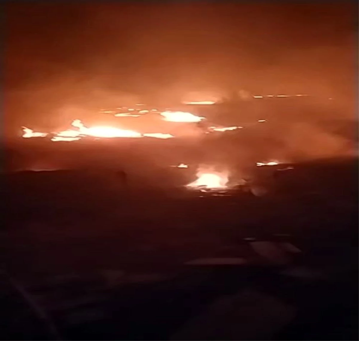 Son dakika haberleri | Yalova\'da orman yangını yerleşim bölgesine yaklaştı