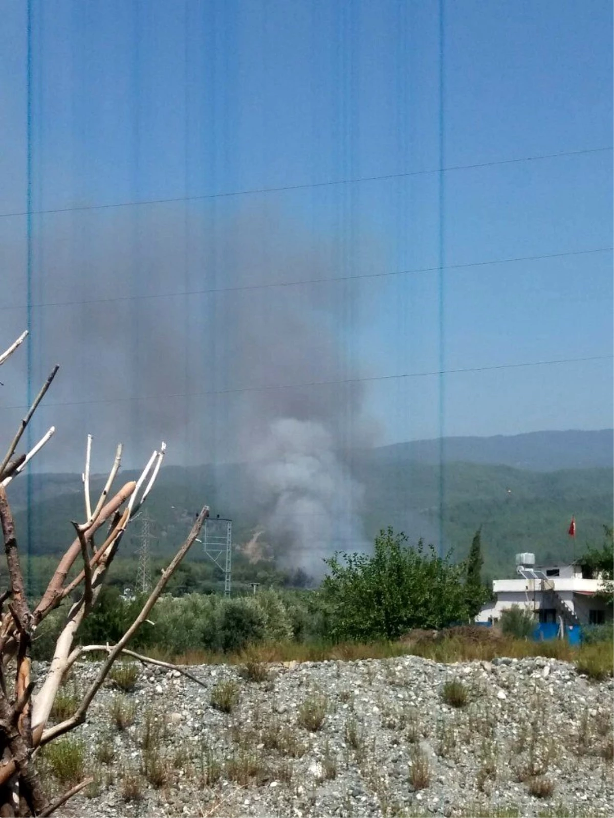 Son dakika 3. sayfa: Zeytin bahçesinde yangın çıktı