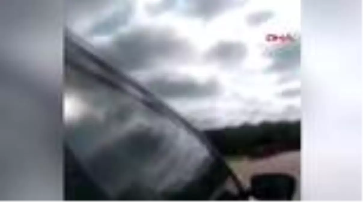 Son dakika haberleri... ABD\'de polis aracına giren keçi resmi evrakları yedi, o anlar kameraya yansıdı