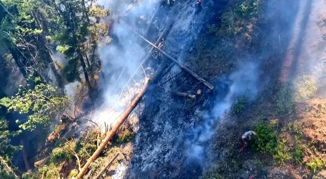 Artvin'deki orman yangını 3 gündür devam ediyor - Son Dakika