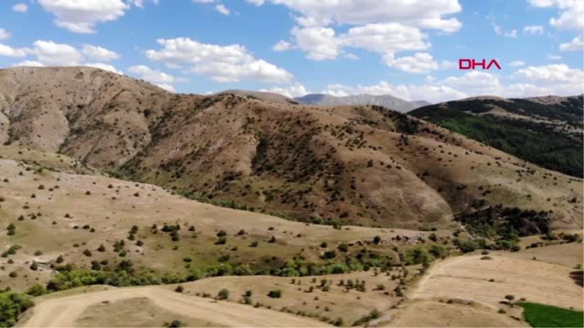 BAYBURT Bayburt balında sağım başladı