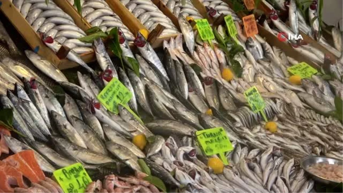 Fiyatların düşmesiyle vatandaşlar balık tezgahlarına akın etti