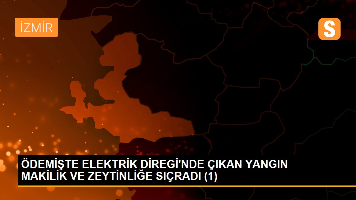 ÖDEMİŞTE ELEKTRİK DİREGİ\'NDE ÇIKAN YANGIN MAKİLİK VE ZEYTİNLİĞE SIÇRADI (1)