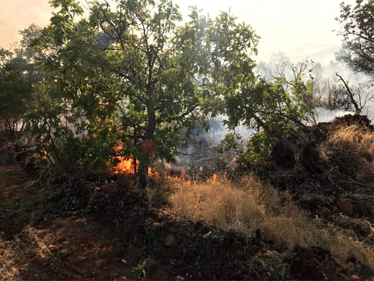 Son dakika haber | Ormanlık alandaki yangın imece usulü söndürüldü