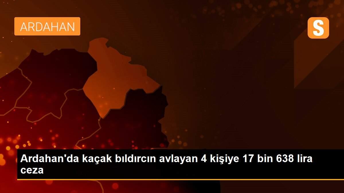 Ardahan\'da kaçak bıldırcın avlayan 4 kişiye 17 bin 638 lira ceza