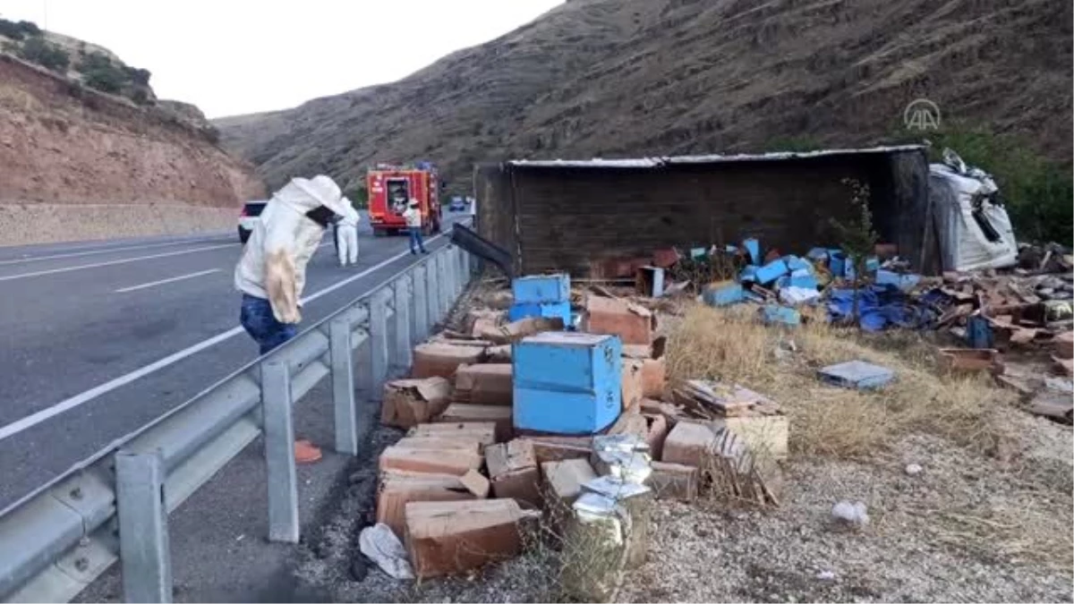 Son dakika haber... Arı kovanı ve bal yüklü kamyon devrildi: 3 ölü