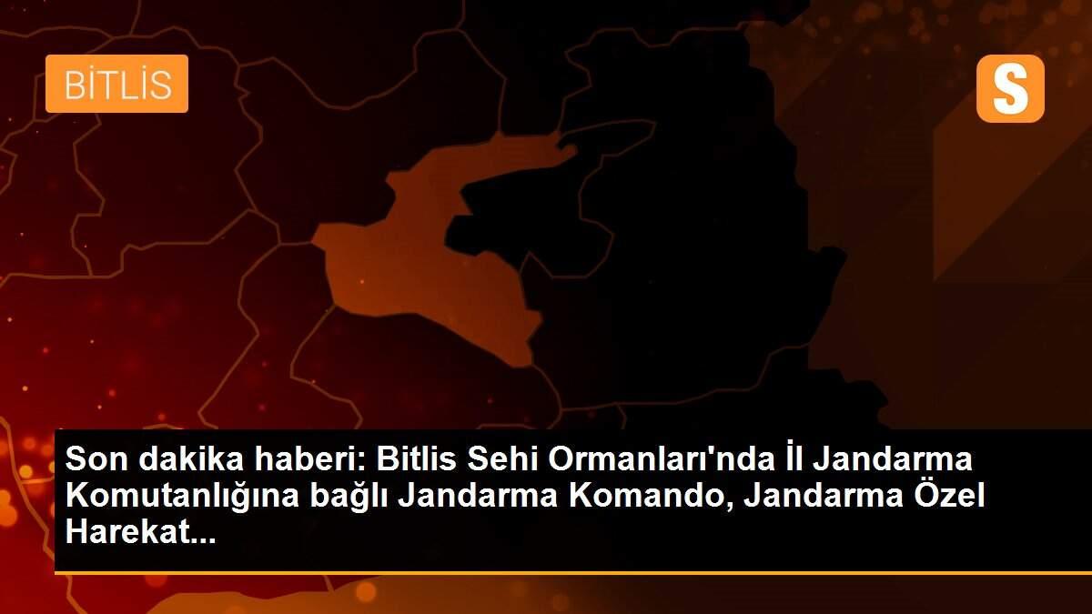 Son dakika haberi: Bitlis Sehi Ormanları\'nda İl Jandarma Komutanlığına bağlı Jandarma Komando, Jandarma Özel Harekat...