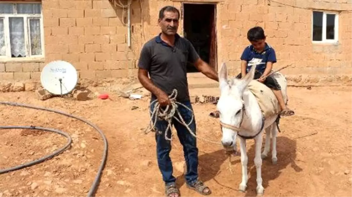 Eşeği elinden alınacak olan çiftçiye müjdeyi kaymakam verdi: Taksitler ödenecek, devletimizin tüm imkanlarını seferber edeceğiz