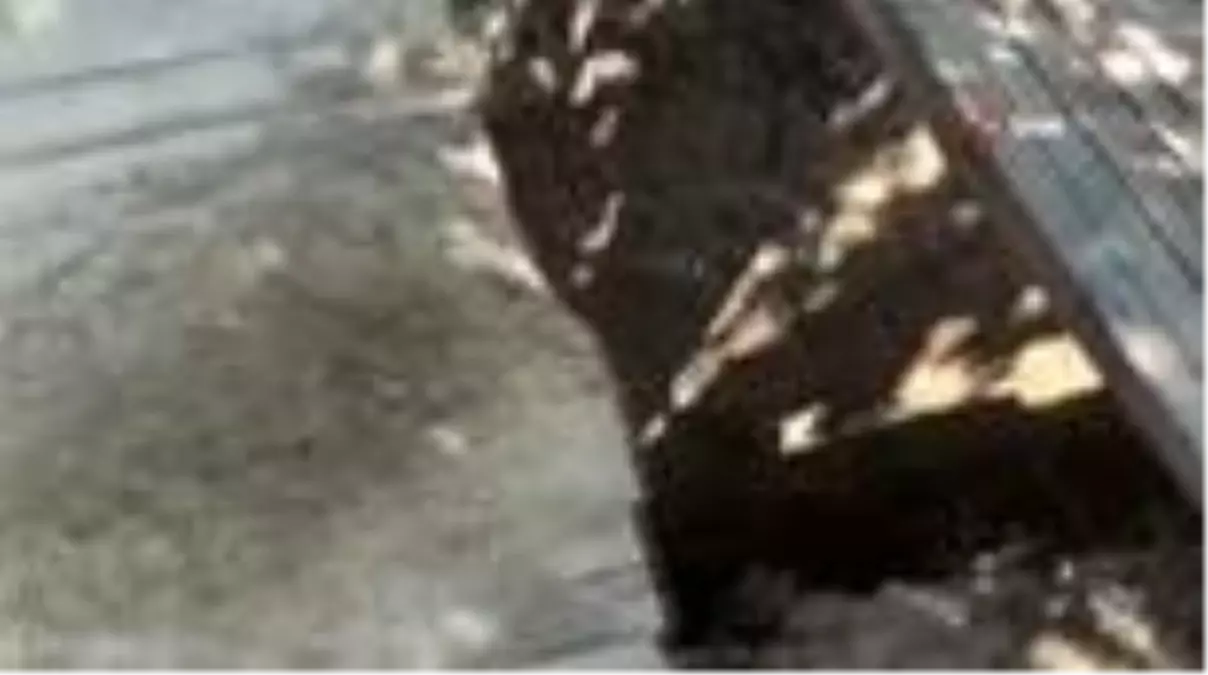 Son dakika haberi! Kayısı bahçesinde kazı yapan definecilere maske cezası da kesildi