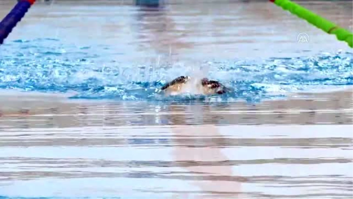 Paralimpik yüzücülerin hedefi olimpiyatlarda kürsüye çıkmak