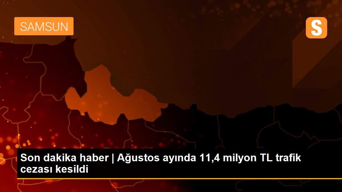 Son dakika haber | Ağustos ayında 11,4 milyon TL trafik cezası kesildi