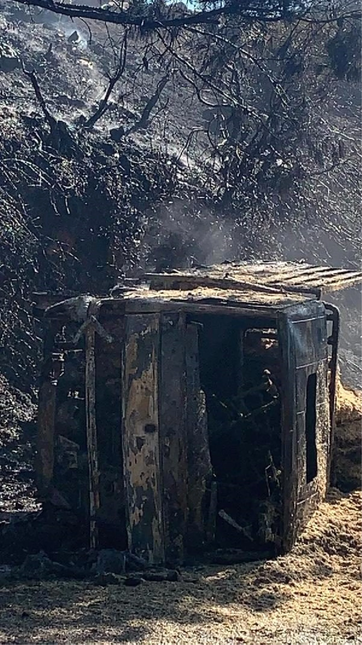 Burhaniye\'de devrilerek yanan saman yüklü kamyonetin sürücüsü öldü