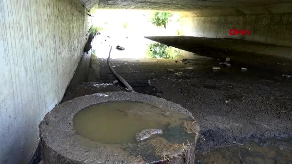 EDİRNE Kanalizasyon suyunun aktığı Cami Deresi ıslah ediliyor