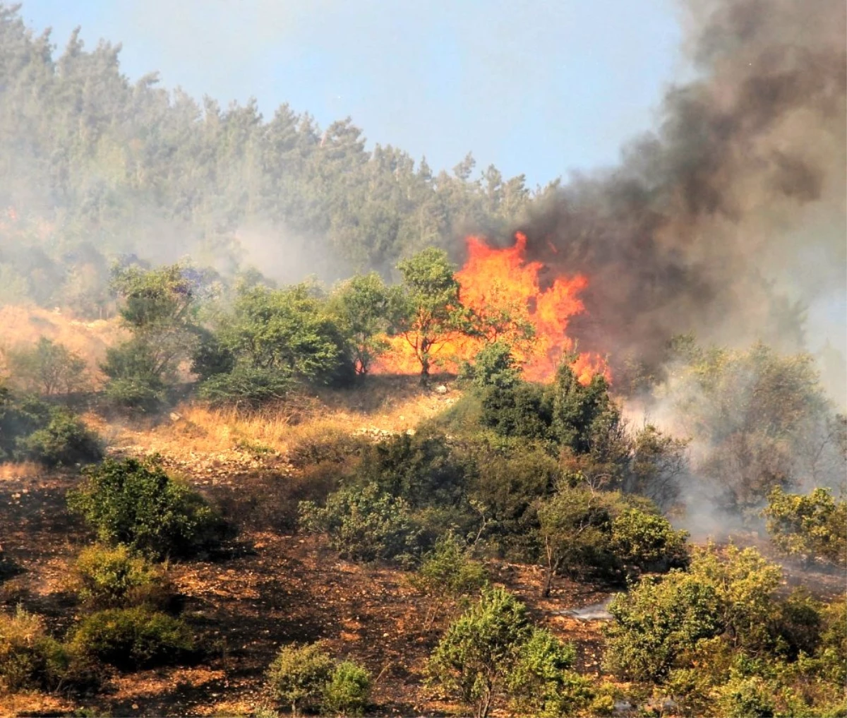 Kahramanmaraş\'ta 1 hektar orman alanı yandı