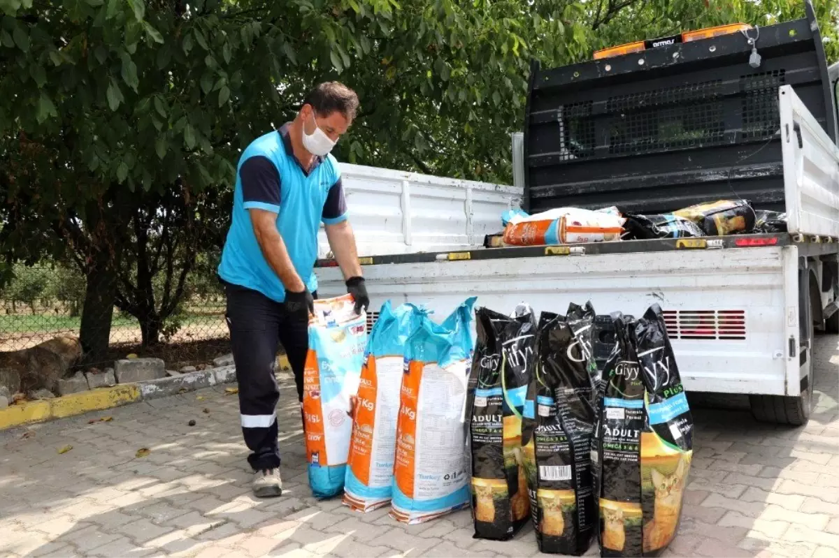 Koceli Büyükşehir Belediyesinden sokak hayvanları için mama desteği