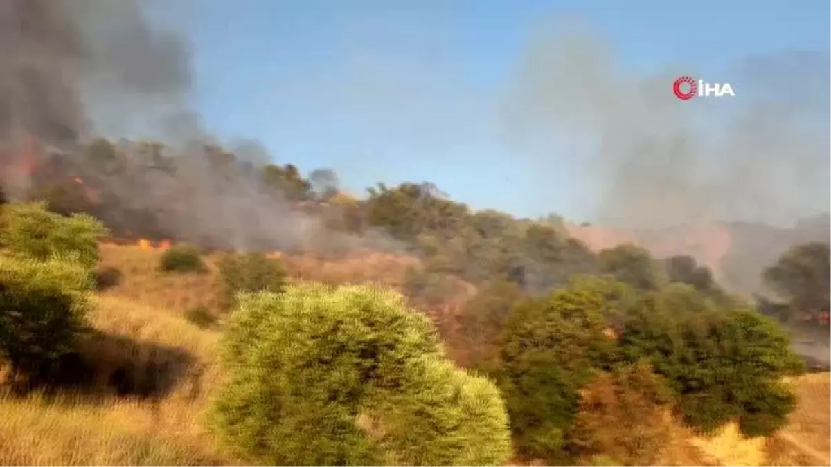 Son dakika! Zirai alanda yangın çıktı