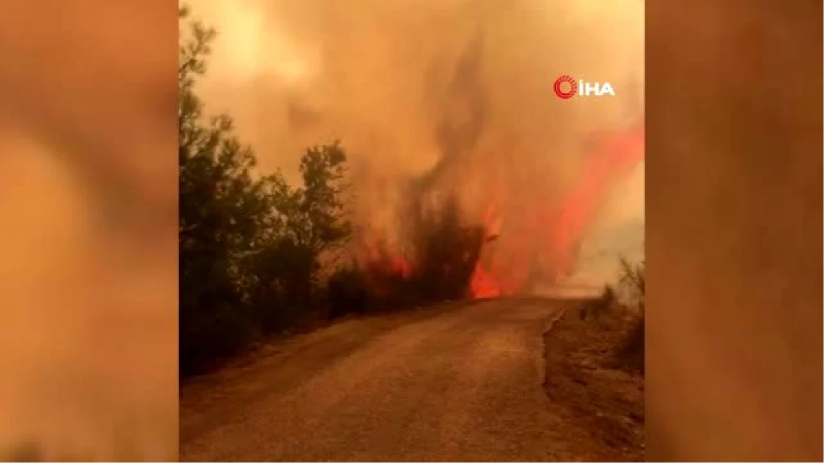 Adana\'daki orman yangınını söndürme çalışmaları sürüyor