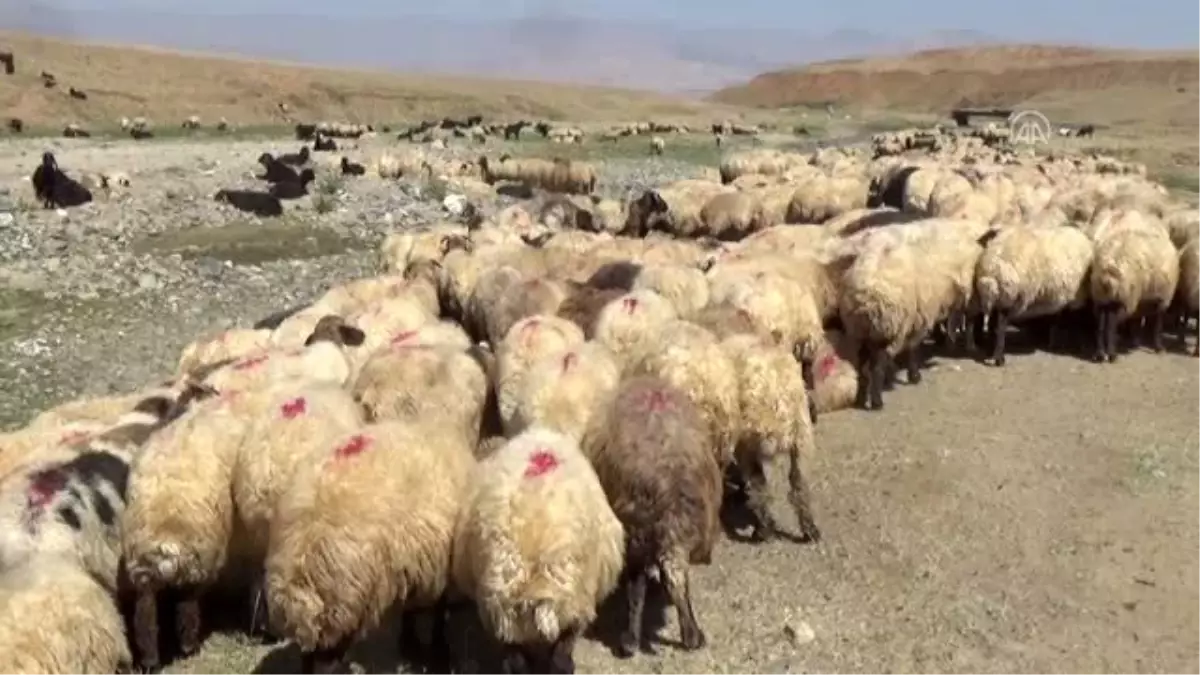 Göçerlerin dönüş yolculuğu başladı