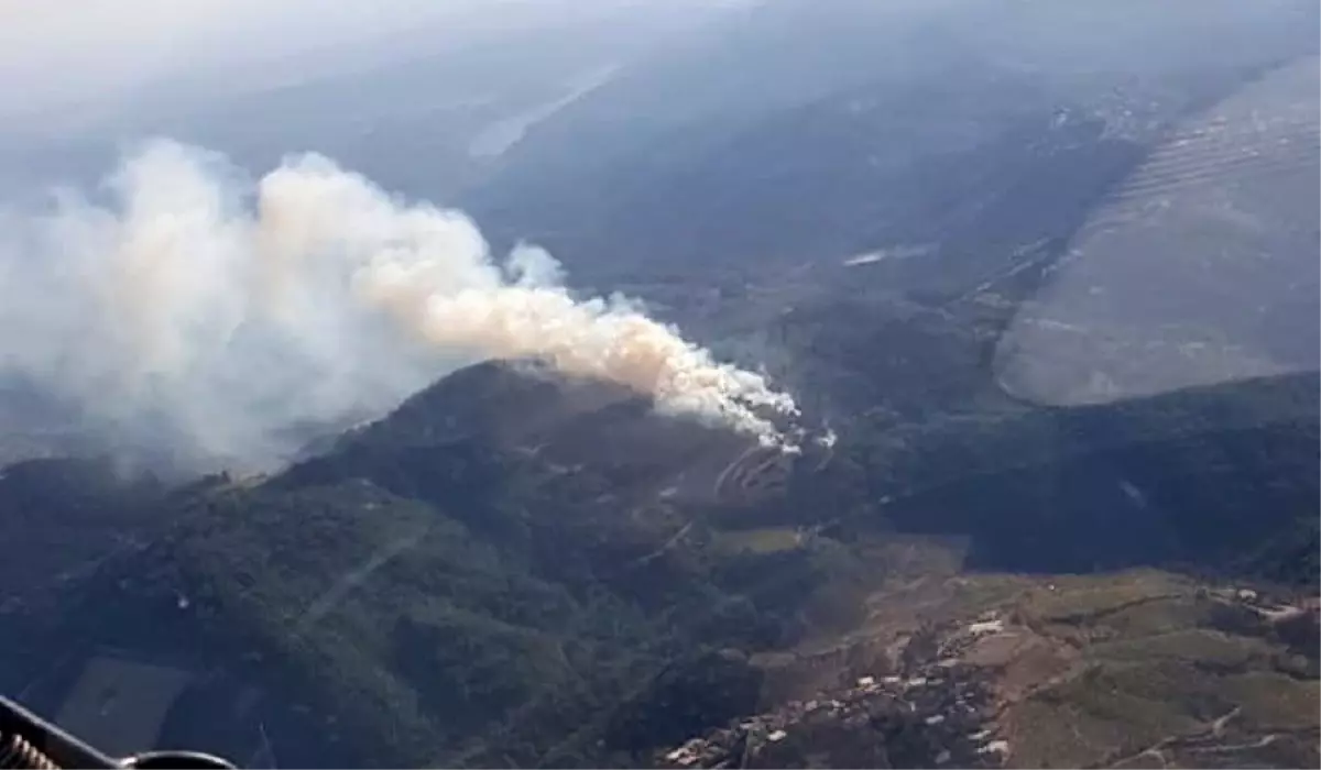 İzmir\'deki orman yangını kontrol altına alındı